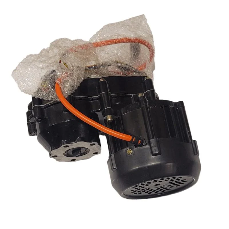 Motor