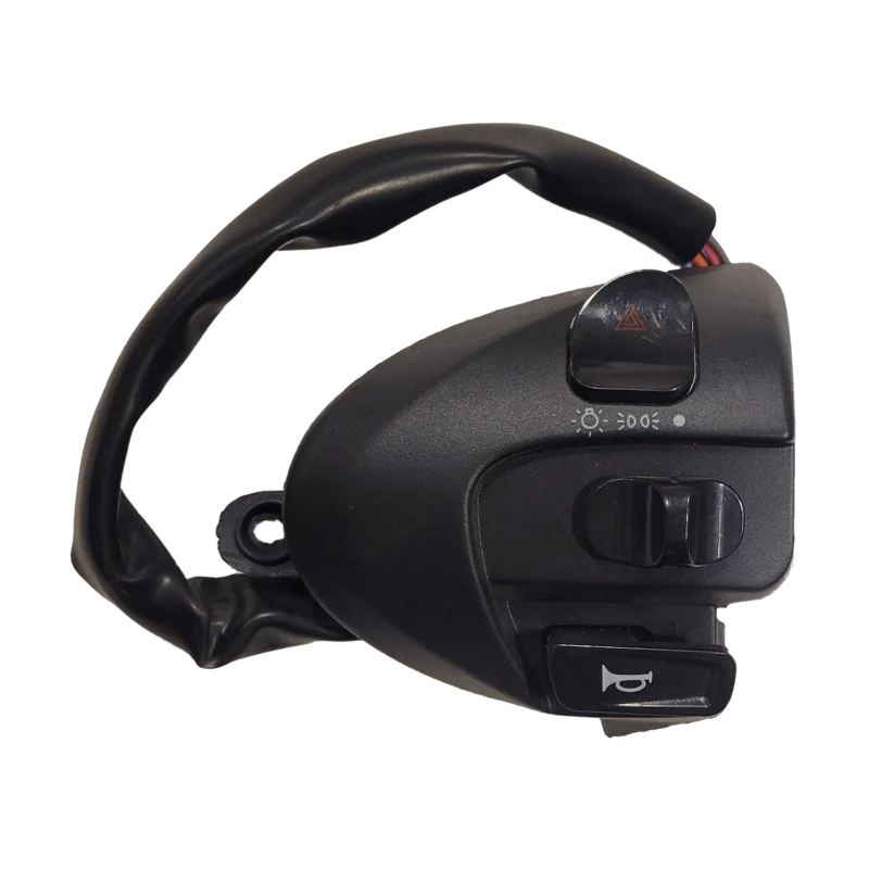 Multi-function Switch (right side)